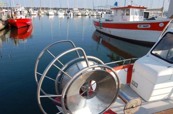 T3 Vue Mer Et Plage, Avec Wifi Et Parking Saint-Pierre-la-Mer  ภายนอก รูปภาพ
